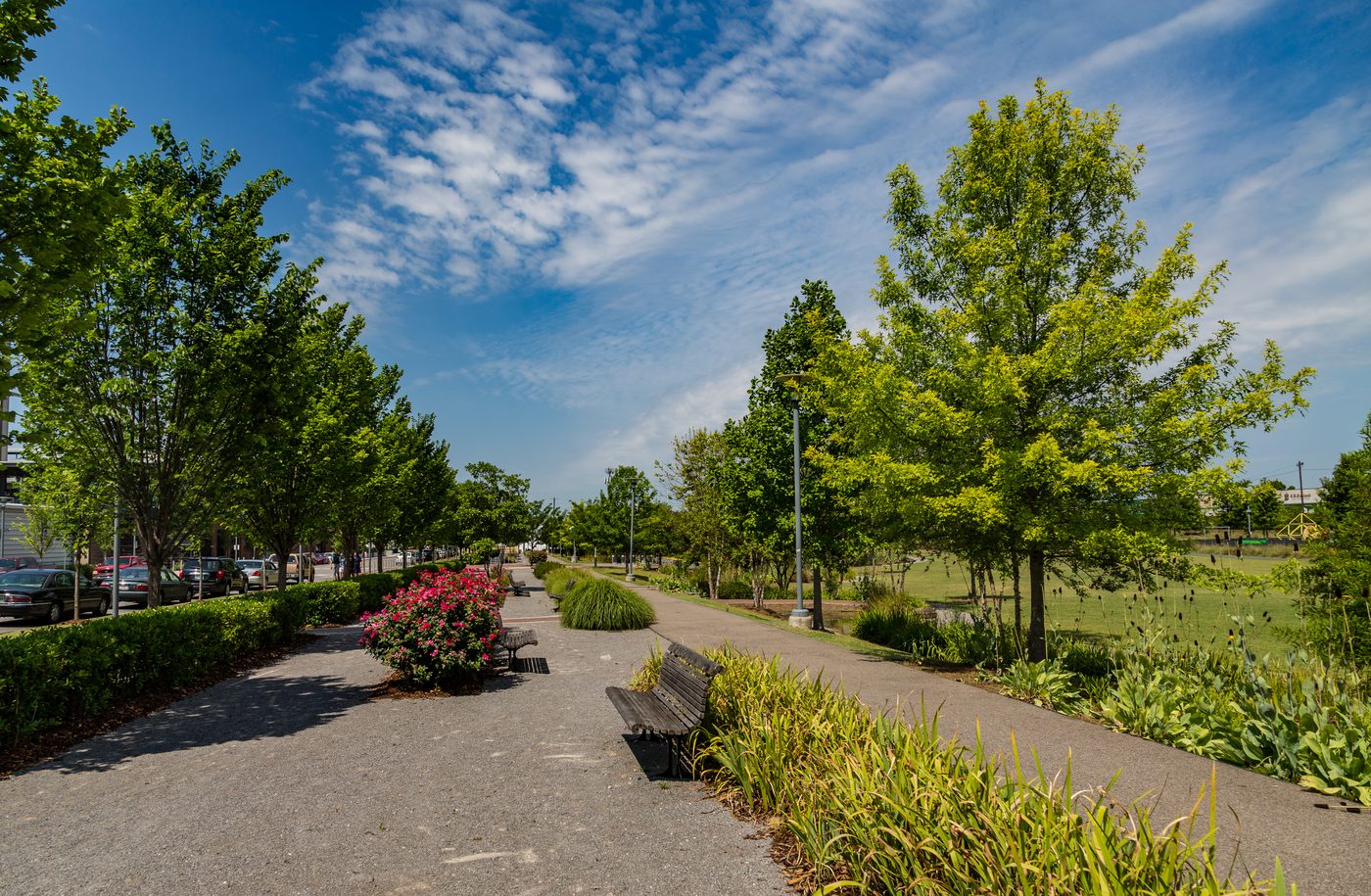 Railroad Park and the downtown Birmingham skyline