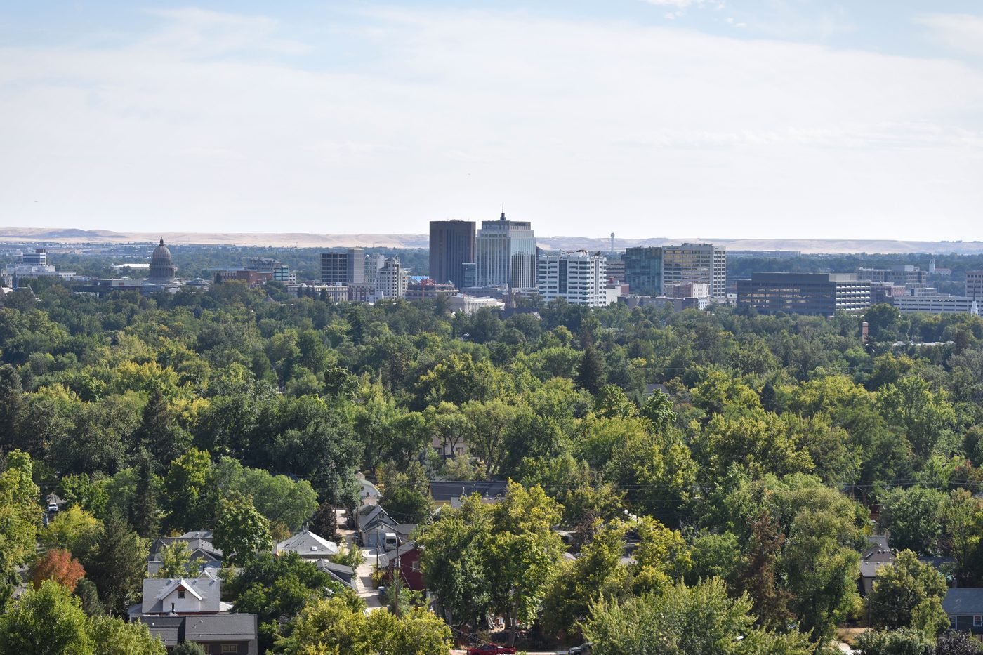 Downtown Boise seen from Camel's Back Park