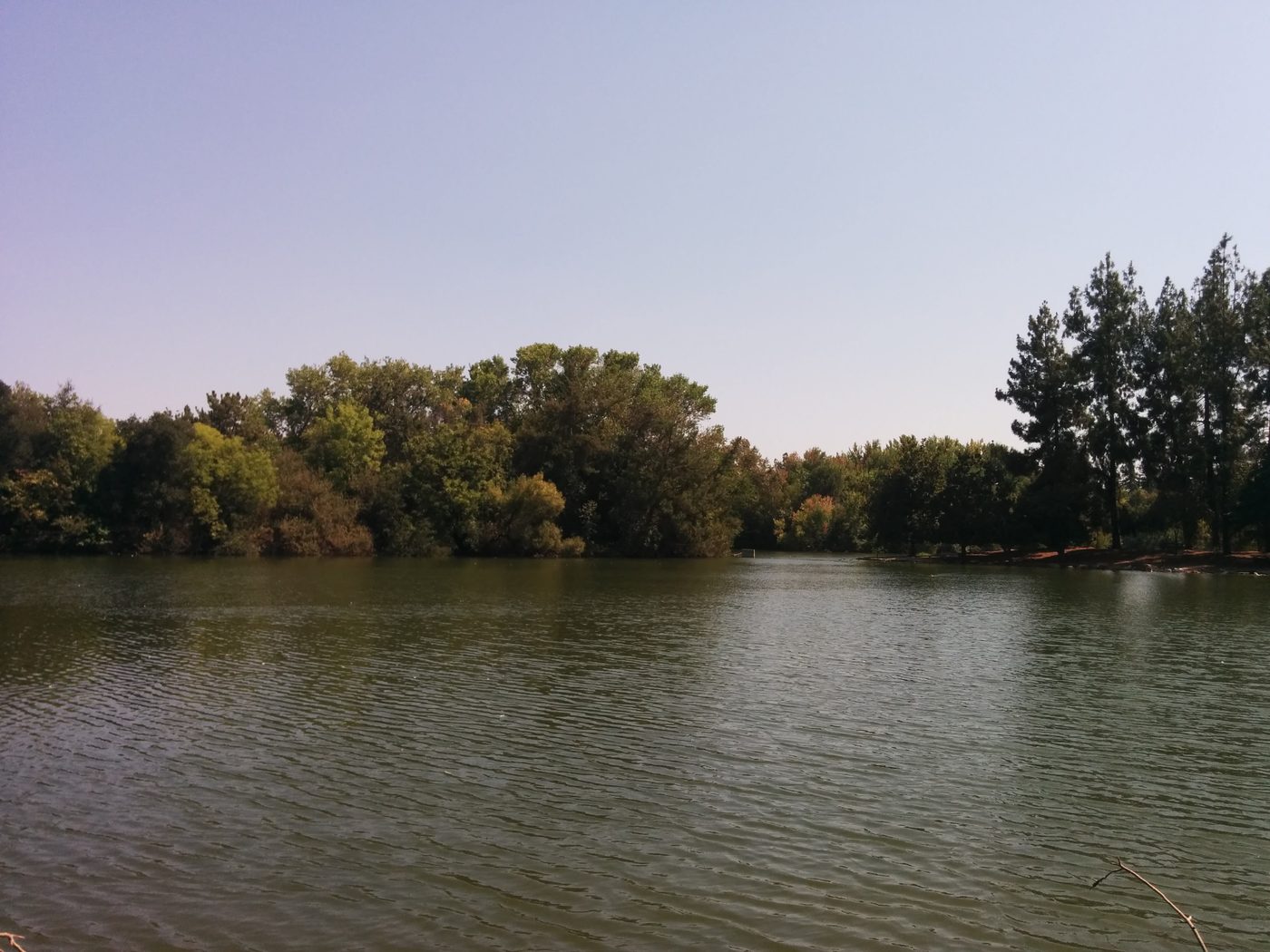 Woodward Park in Fresno