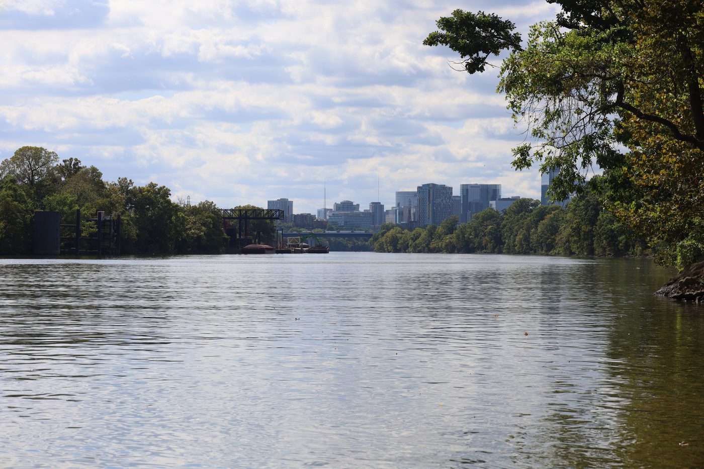 The Nashville skyline from Shelby Park
