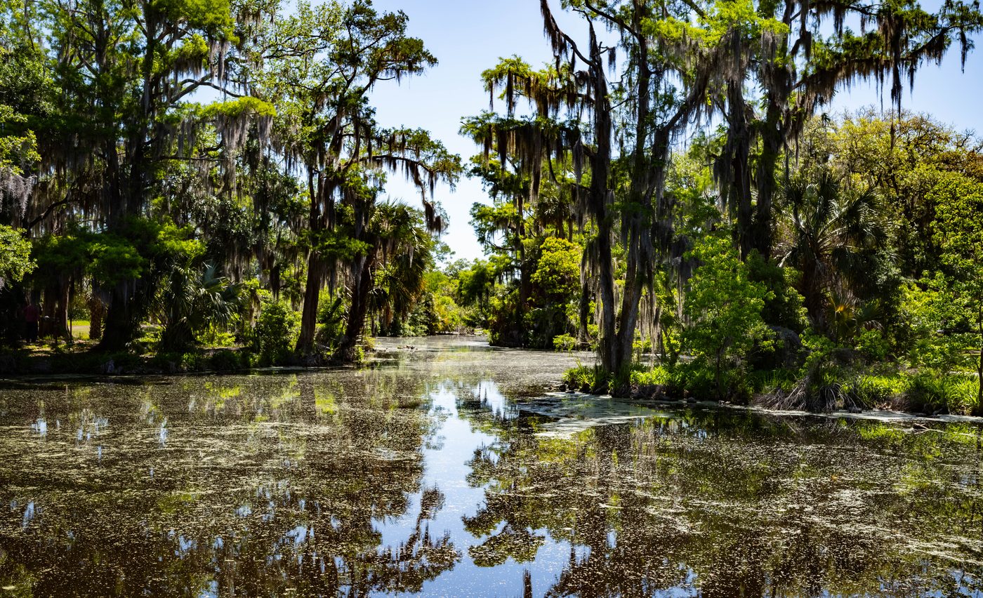 City Park in New Orleans